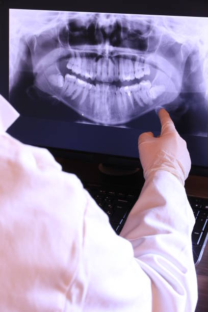 Best Emergency X-Rays and Diagnostics in Eau Claire, WI